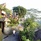 Kupu Kupu Barong Villas & Tree Spa By Loccitane