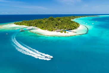 Niva Kuramathi Maldives