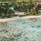 Tamassa An All Inclusive Resort
