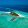 Dhigufaru Island Resort