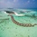 Cocoon Maldives