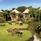 Mara River Safari Lodge Bali