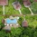 Bliss Hotel Praslin
