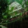 Jungle Retreat Ubud