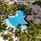 Beachcomber Shandrani Resort & Spa