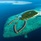 Ayada Maldives