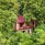 Ambong-Ambong Langkawi Rainforest Retreat