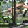 Champlung Sari Hotel Ubud